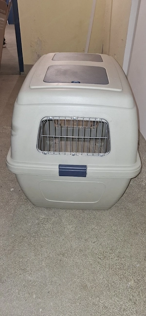 Hundebox zu verkaufen Bild 3