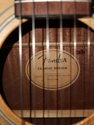 Verkaufe Fender Westerngitarre Bild 3