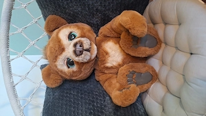 Original Cubby-Knuddelbär von Hasbro FurReal Friends, Interaktiv  Bild 3