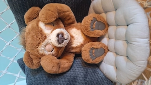 Original Cubby-Knuddelbär von Hasbro FurReal Friends, Interaktiv  Bild 2