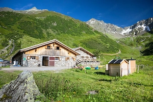 Verkaufe 2 Weiderechte   Agrargemeinschaft Alpe Wasserstuben (Silbertal) Bild 2