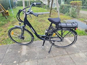E-Bike   Elektrofahrrad Wayscral Everyway E50   Top Zustand