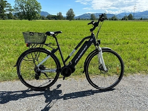 Damen Ebike