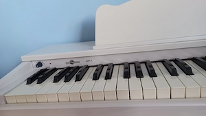 Digitalpiano für Kinder mit 61 anschlagdynamischen Tasten