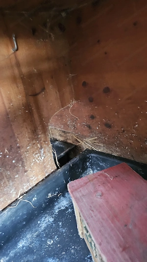 Hasenstall, Meerschweinchenstall, Kaninchenstall, Rattenstall, Kleintierstall Bild 2