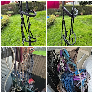 Diverses Pferdezubehör Reitzubehör Bild 3