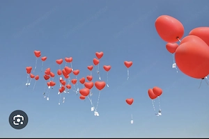 Helium Gasflasche zum Ausleihen, Gas für ca 180 Luftballons, Hochzeit, Geburtstag ect.