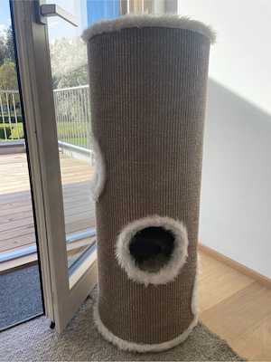 Kratzbaum von Trixi Bild 3