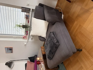 IKEA Récamiere Stocksund zu verkaufen Bild 4