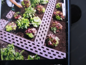 Beetplatten 50 cm lang und 21 cm breit