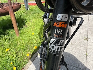 Damenfahrrad Bild 3