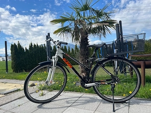 Damenfahrrad