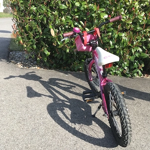 Kinderfahrrad Bild 3