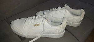 Sneaker von Puma Gr.38