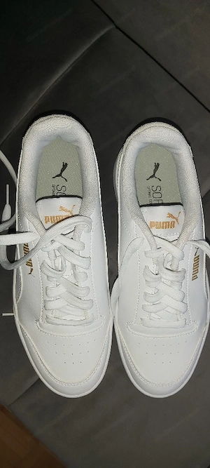 Sneaker von Puma Gr.38 Bild 3