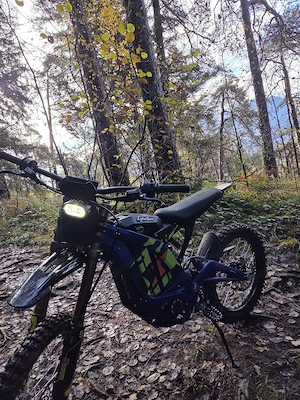  Surron Light Bee X 2025