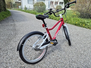 Woom 3  Limited Edition, 2 Gang Automatik