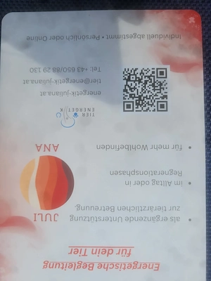 Energetische Arbeit für dein Tier Bild 3