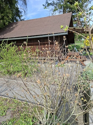 Schönes Riedgrundstück in Lustenau zu verkaufen  Bild 3