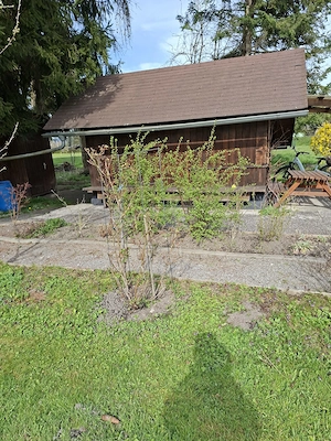 Schönes Riedgrundstück in Lustenau zu verkaufen  Bild 5