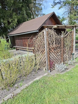 Schönes Riedgrundstück in Lustenau zu verkaufen  Bild 2