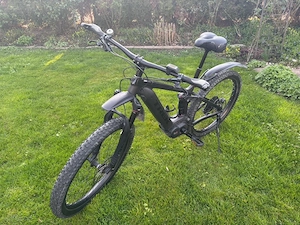 Trek Powerfly 7 Bild 3