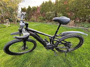 Trek Powerfly 7 Bild 4