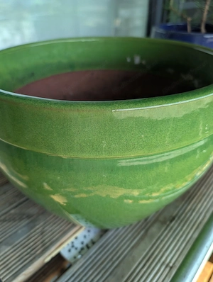 FrühlingsZeit:PflanzenZeit: Pflanztopf-Zeit Bild 2