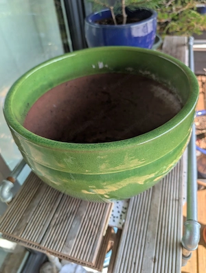 FrühlingsZeit:PflanzenZeit: Pflanztopf-Zeit