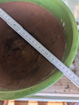 FrühlingsZeit:PflanzenZeit: Pflanztopf-Zeit Bild 5