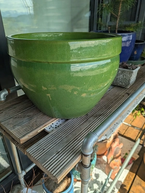 FrühlingsZeit:PflanzenZeit: Pflanztopf-Zeit Bild 3