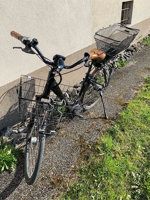 lässiges E-Bike Bild 3