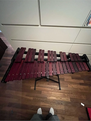 Gebrauchtes Xylophon Bild 3