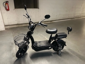 Elektro Roller EFO eb250s