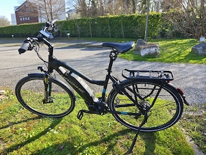 E Bike - Haibike Sduro Trekking 5.0 Bild 3
