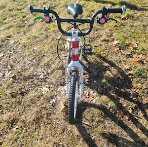 Woom 3 Anniversary Edition Bild 2