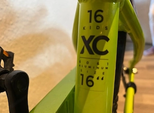 Bulls Tokee Light 16 Zoll Bild 3