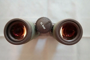 Swarovski EL 8 x 32 WB Fernglas Bild 3