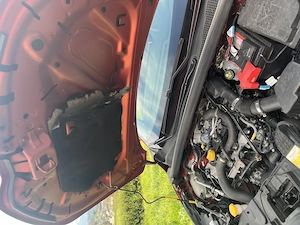 Renault Captur 8-fach-bereift und neu serviciert Bild 6