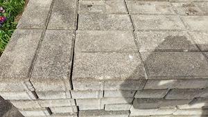 Betonsteine zu verschenken Bild 2