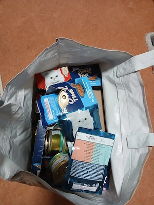 Katzen  Tierbedarf Bild 3