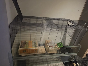 Hamsterkäfig neuwertig Bild 4