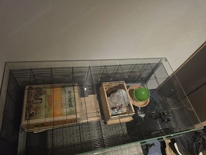 Hamsterkäfig neuwertig Bild 3