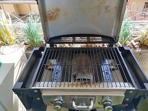 Gasgrill zu verkaufen Bild 2