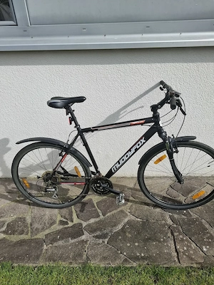 Muddyfox Tempo 200 Citybike Bild 2