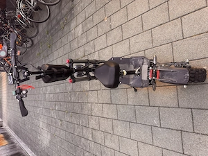 E-Scooter Dual Motor Bild 4