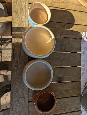 Hasenstall zu verschenken  Bild 4