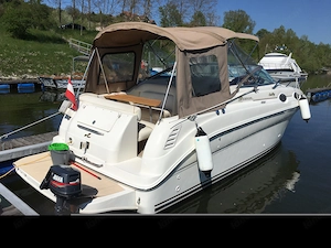 Sea Ray 260 Sundancer Bild 2