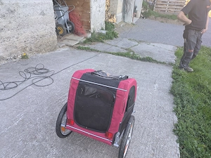 Fahrradanhänger für Hunde Bild 2