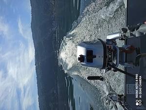 Schlauchboot Gala F420 mit Honda Motor  Bild 5